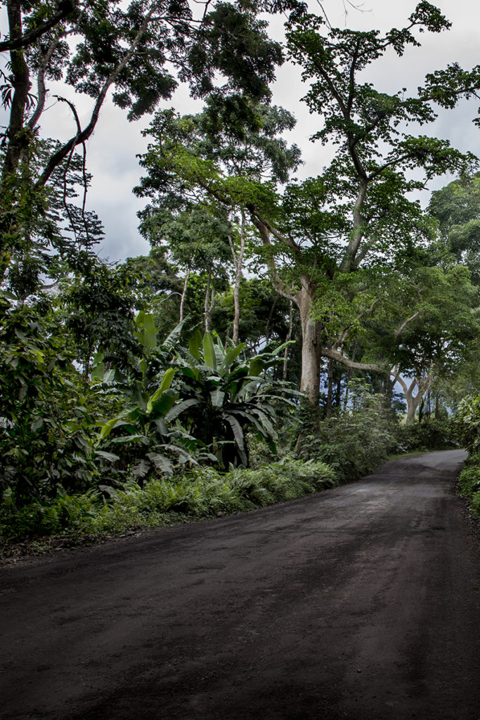 paysage de guinée équatoriale