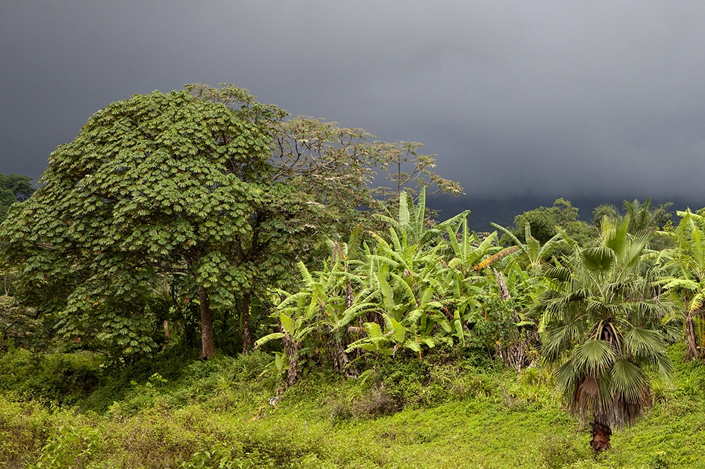 paysage guinée équatoriale